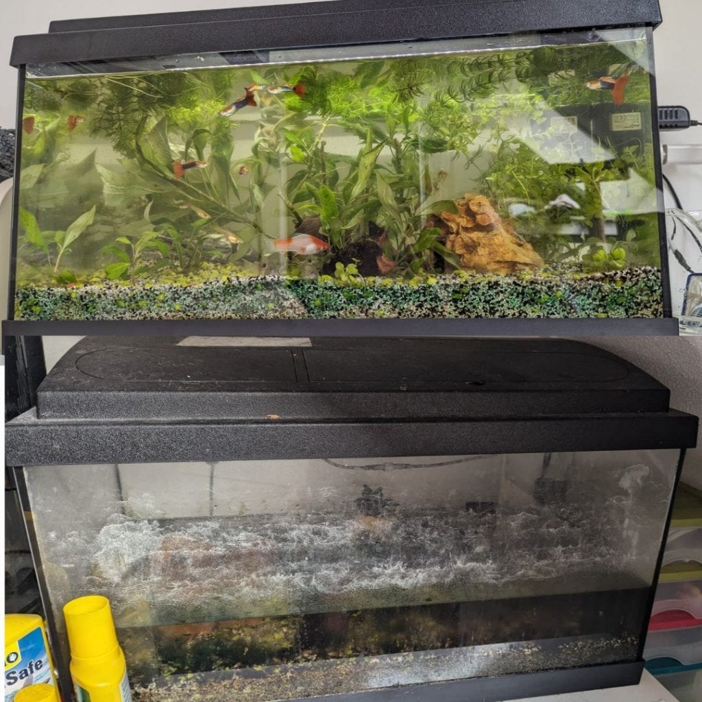 ~55L Aquarium with filter and lid, Ophalen, Gebruikt, Pomp, Overige merken