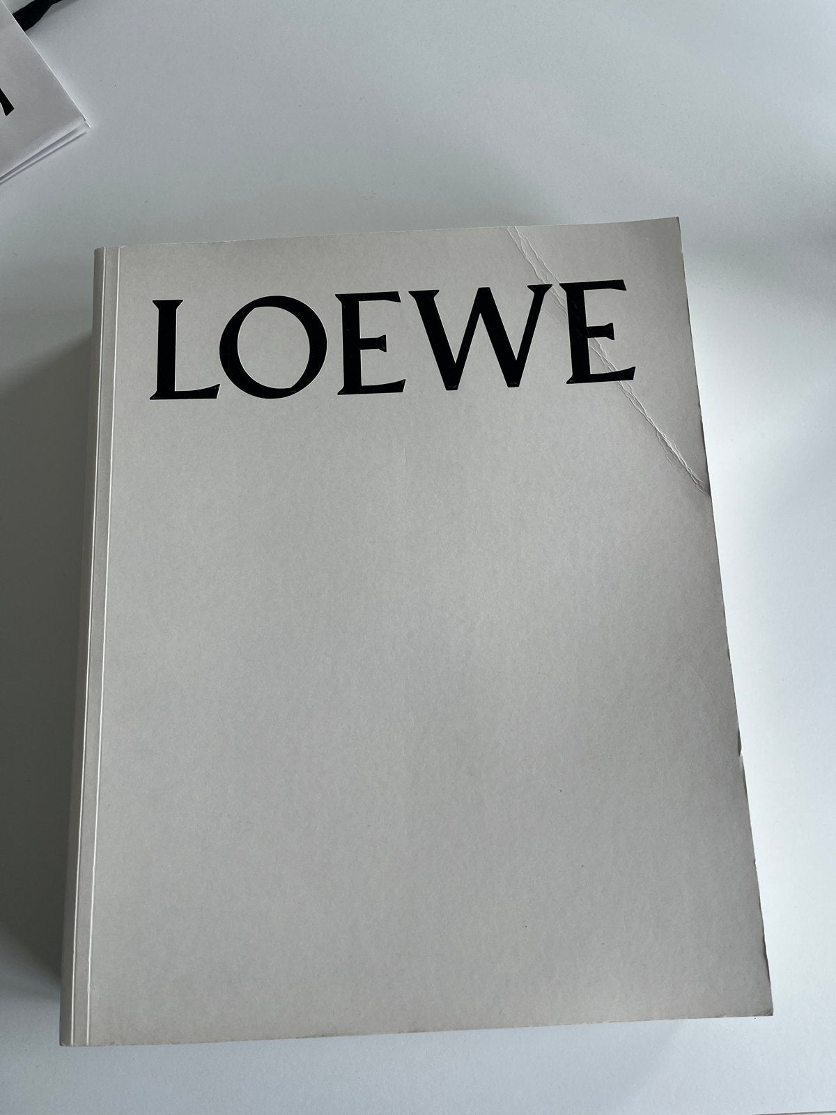 Loewe Boek: Een Visuele Reis door Loewe's Erfgoed, Ophalen of Verzenden, Gelezen, Overige onderwerpen