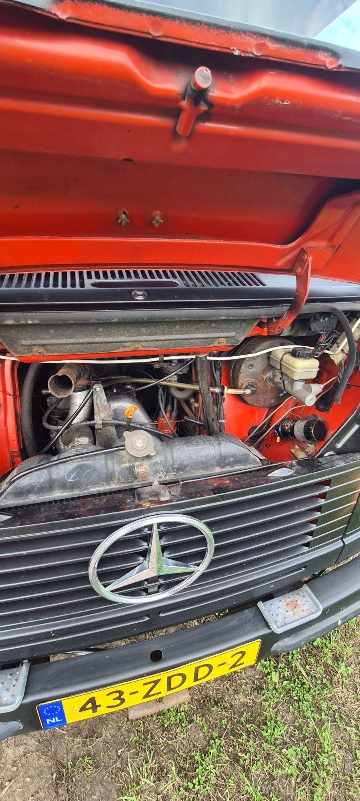 Oldtimer Mercedes-Benz Mercedes 1981, foto 7