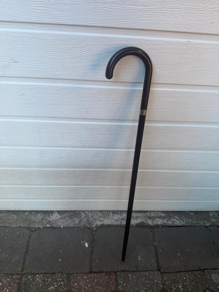 Wandelstok, Ophalen of Verzenden, Nieuw