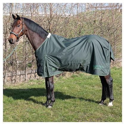 Harry’s horse outdoordeken Thor 0 gram 165 tm 215 nieuw, Dieren en Toebehoren, Paarden en Pony's | Dekens en Dekjes, Ophalen of Verzenden