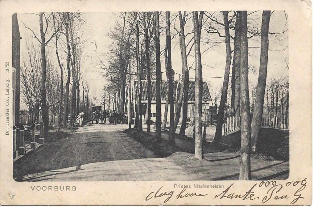 Voorburg (Z.H.) Prinses Mariannelaan, Volk, gelopen 1902, Ophalen of Verzenden, Voor 1920, Gelopen, Zuid-Holland