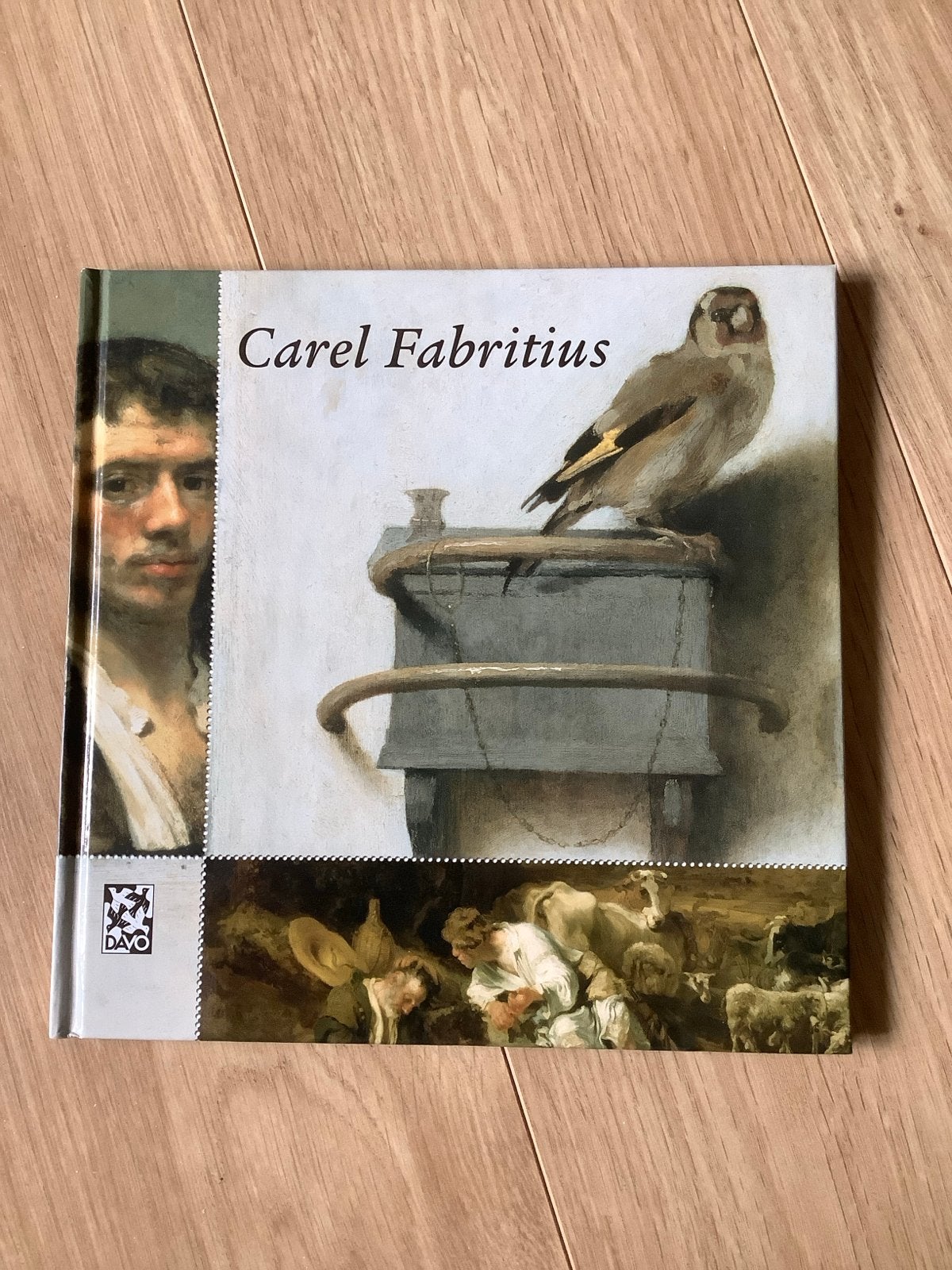 Carel Fabritius - Kunstboek over de Nederlandse meester, Ophalen of Verzenden, Zo goed als nieuw, Nederland