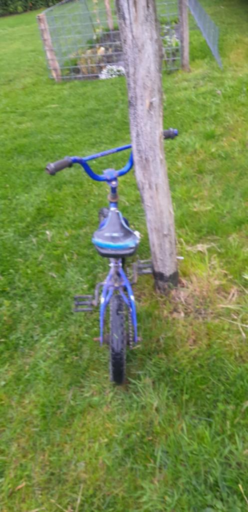 Kinderfietsje blauw - Bike 2 Fly, Fietsen en Brommers, Fietsen | Kinderfietsjes, Terugtraprem, Loekie flower, Ophalen of Verzenden