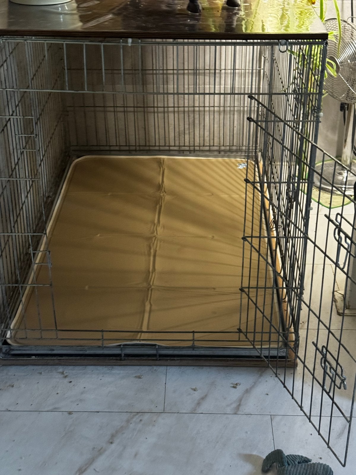 XXL Honden bench in nette staat, Ophalen, Zo goed als nieuw