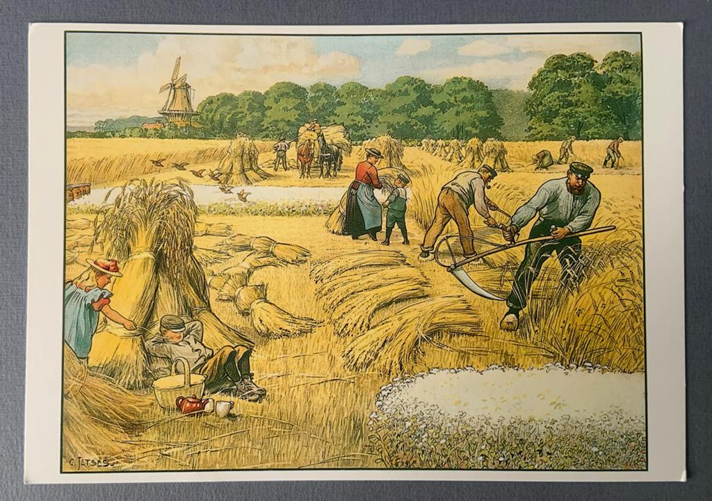 Een julidag op het land - Cornelis Jetses (1991), Verzenden, 1980 tot heden, Ongelopen