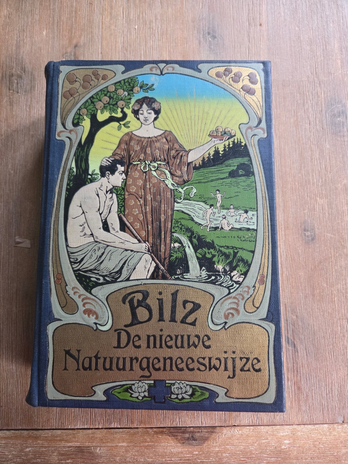 Bilz De nieuwe Natuurgeneeswijze met anatomische platen, Ophalen of Verzenden, Gelezen, Kruiden en Alternatief, F.E. Bilz