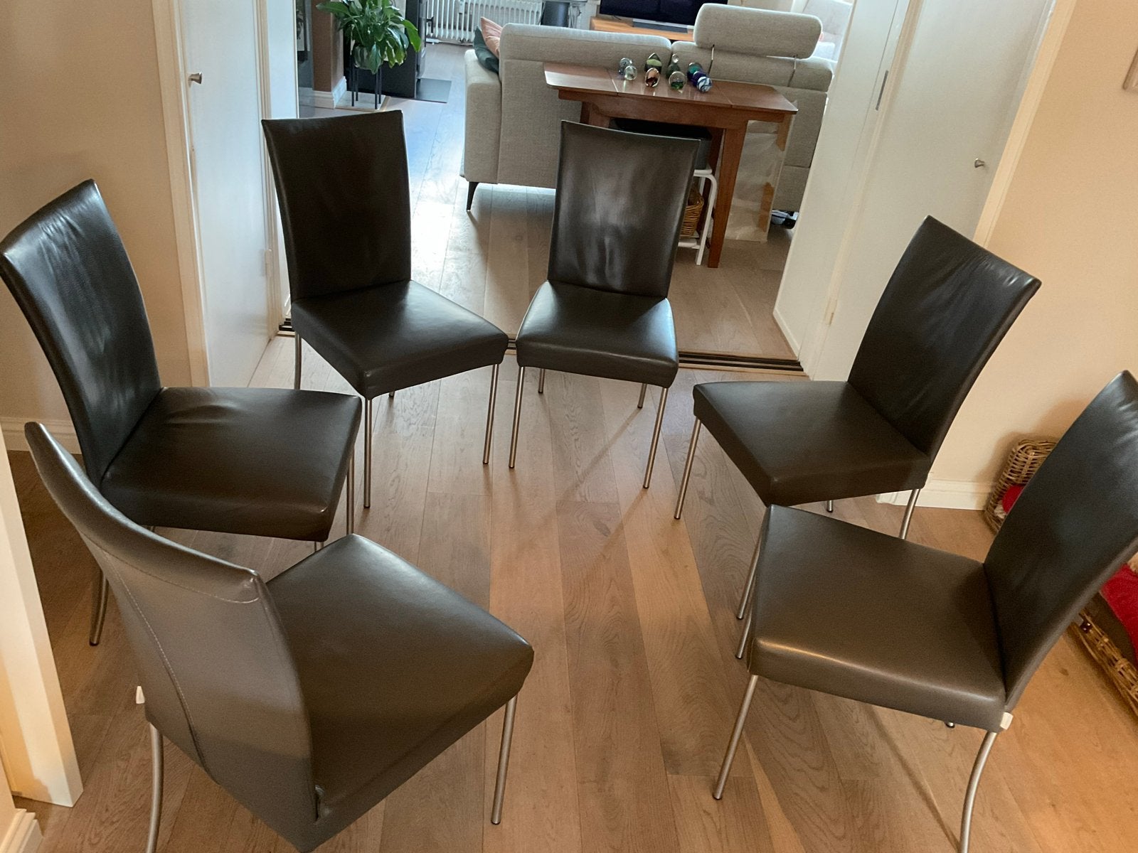 6 Bert Plantagie leren eetkamerstoelen - Grijs, Ophalen, Gebruikt, Leer, Vijf, Zes of meer stoelen