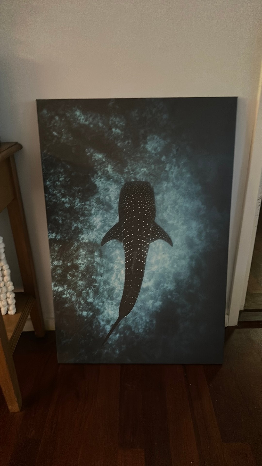 Walvishaai / whaleshark poster op canvas, Ophalen, Zo goed als nieuw, 50 tot 75 cm, Foto of Poster