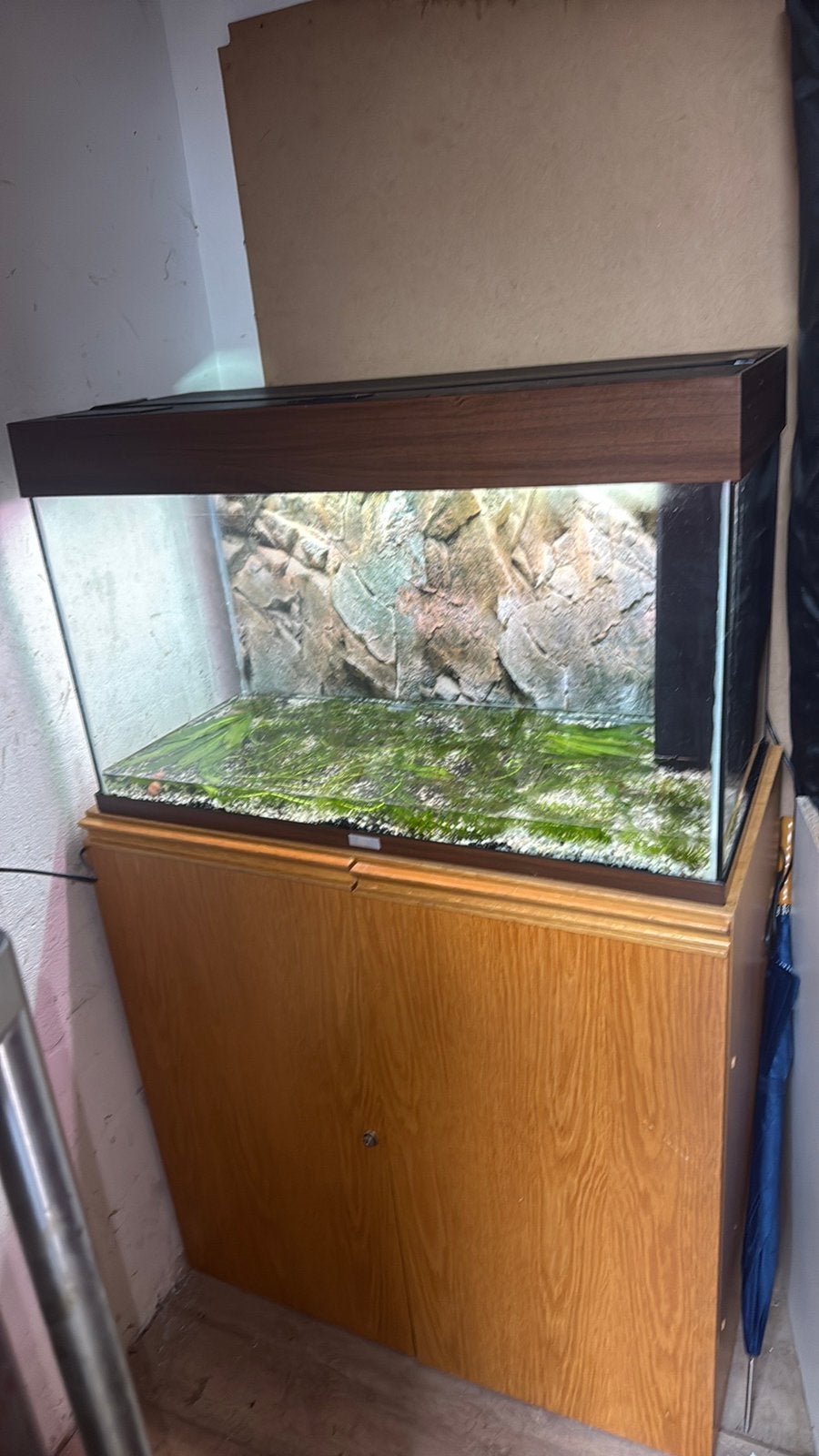 Juvel rio 125 Aguaria + meubelen, Ophalen, Gebruikt, Leeg aquarium, Juwel