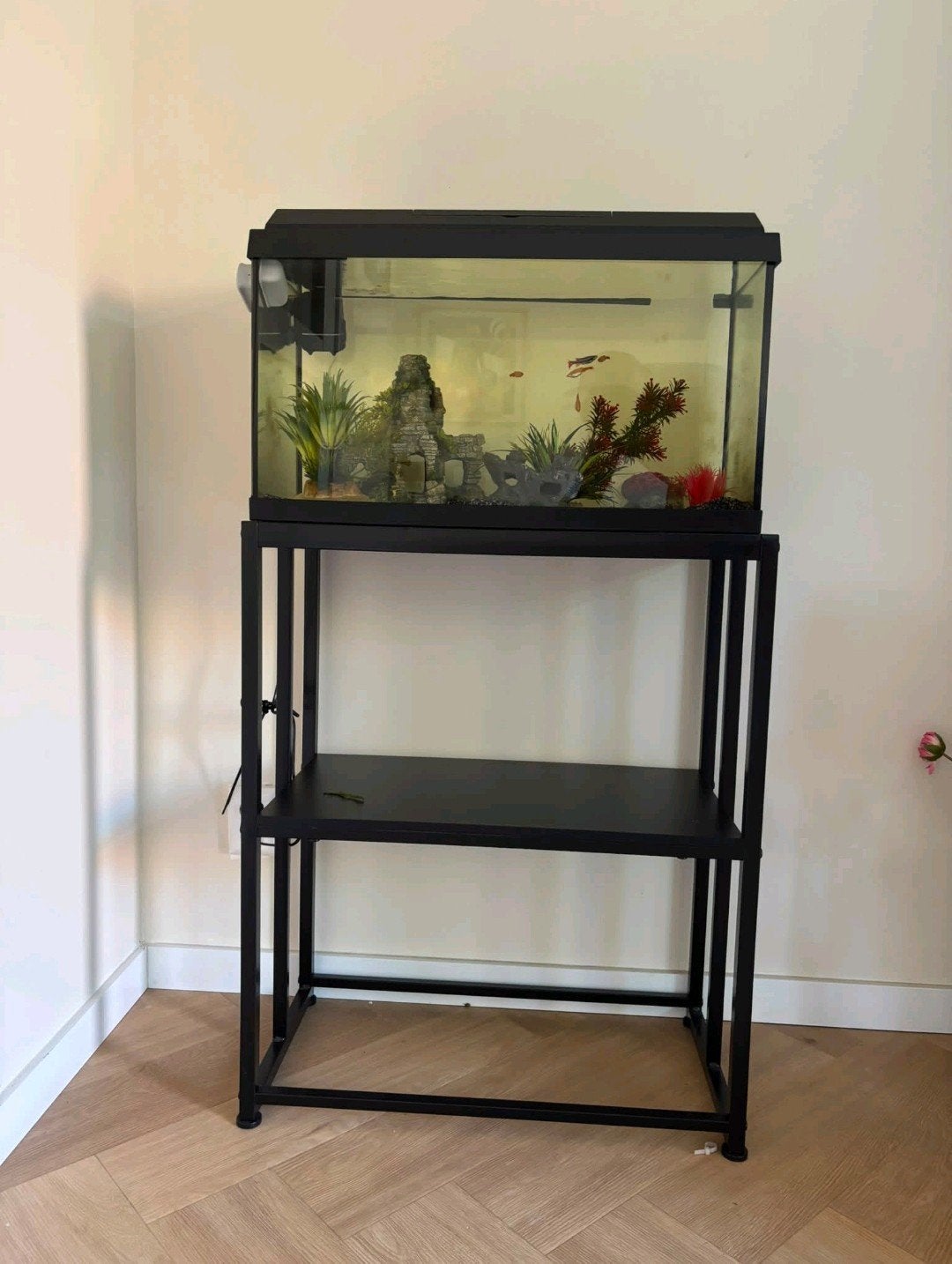 Prachtig aquarium te koop, iets voor jou?, Ophalen, Leeg aquarium