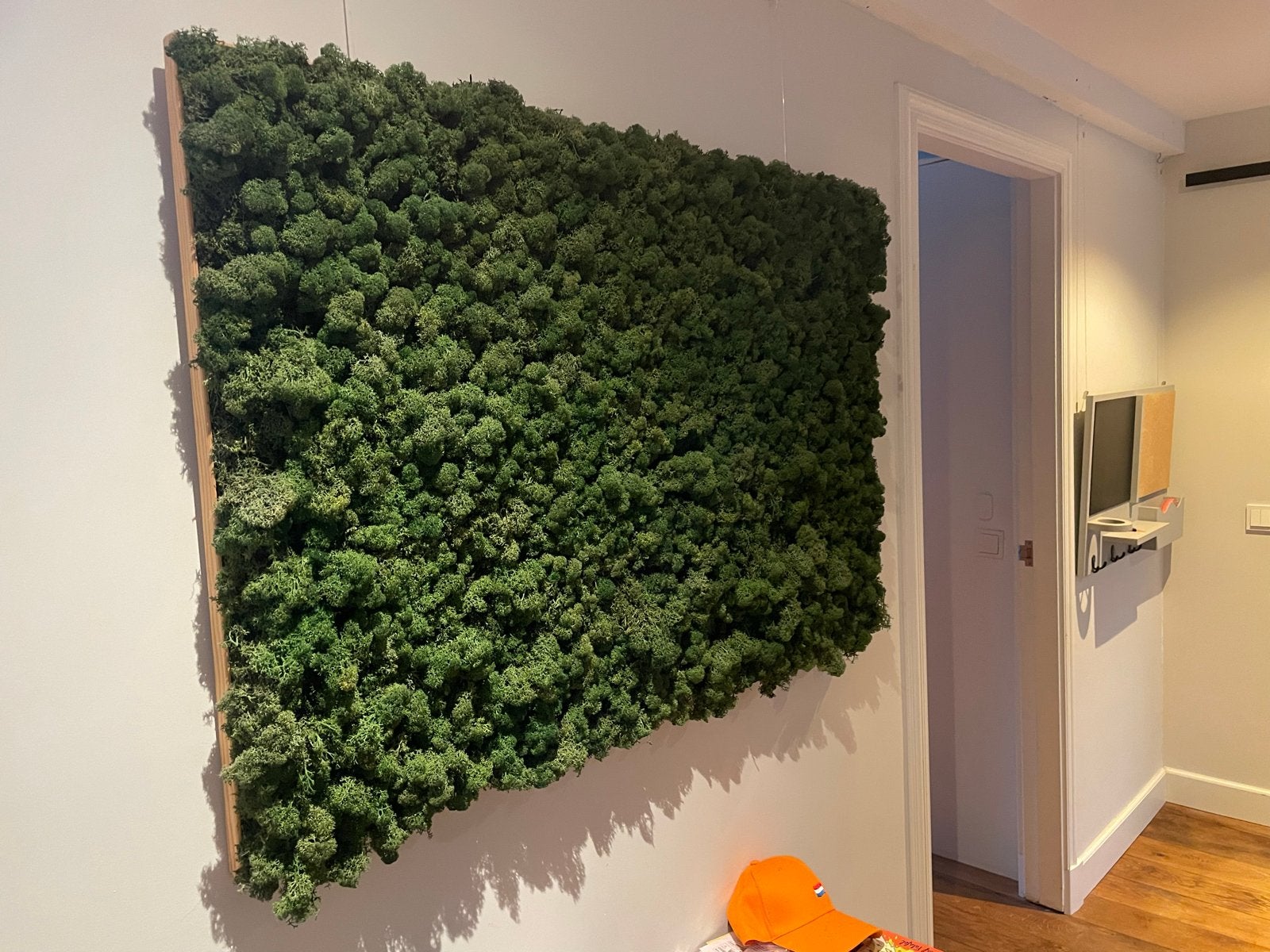 Wanddecoratie van rendiermos - Groen, 120x60 cm, Ophalen, Groen, Zo goed als nieuw, Natuurlijk materiaal