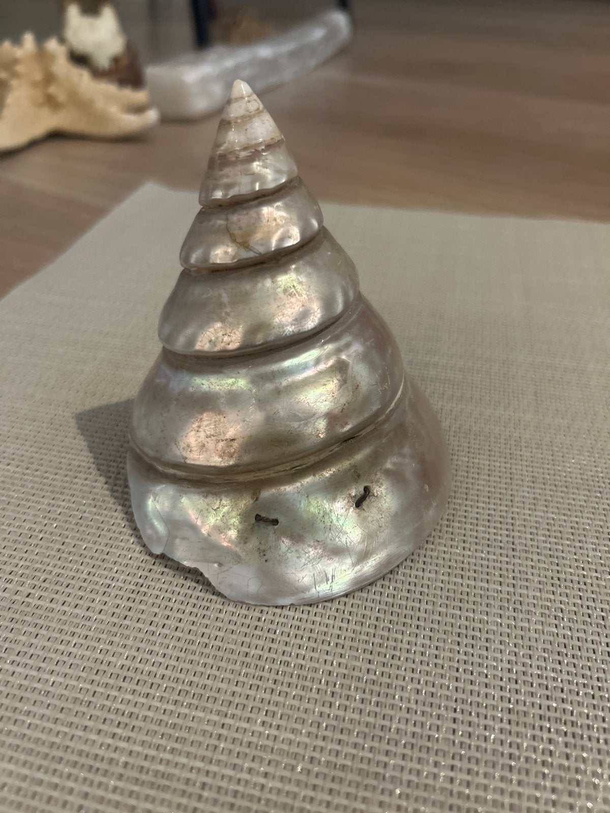 Mooie parelmoer schelp, 11 cm, Ophalen of Verzenden, Gebruikt
