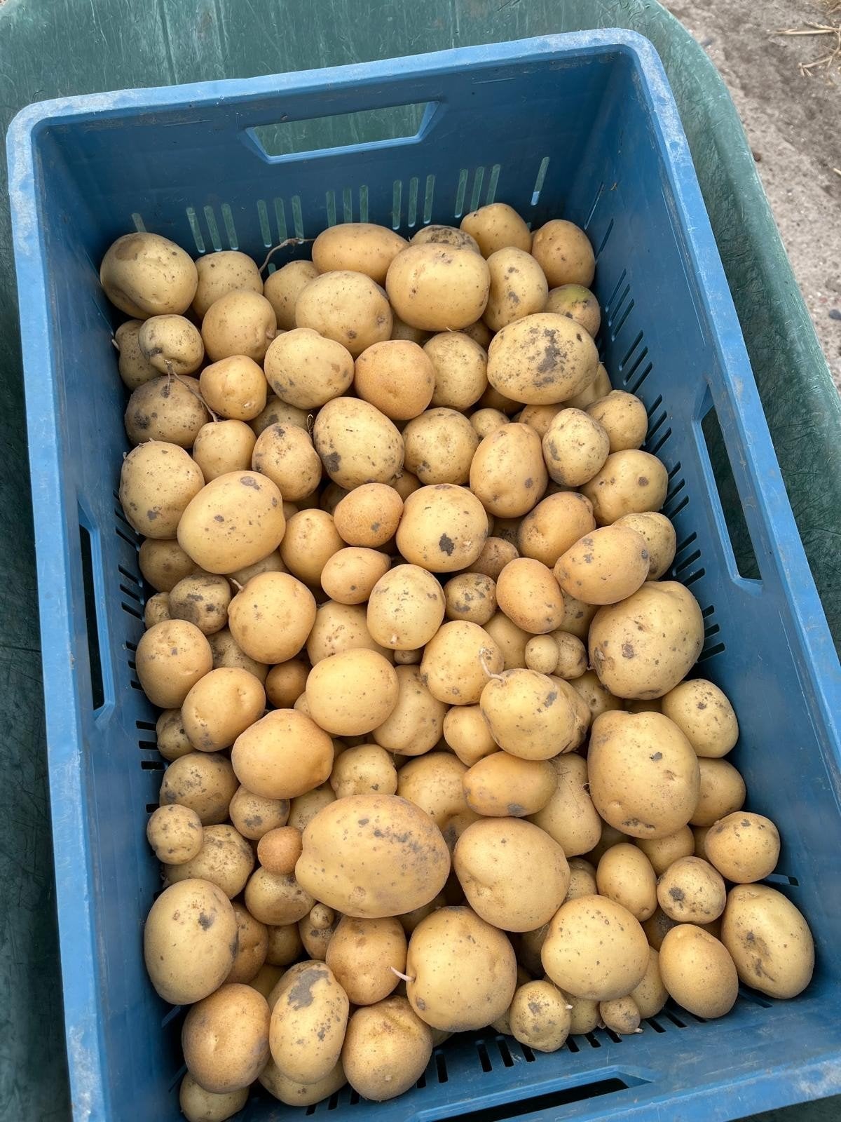 nieuwe friet en tafel aardappelen te koop, Diversen, Levensmiddelen, Ophalen