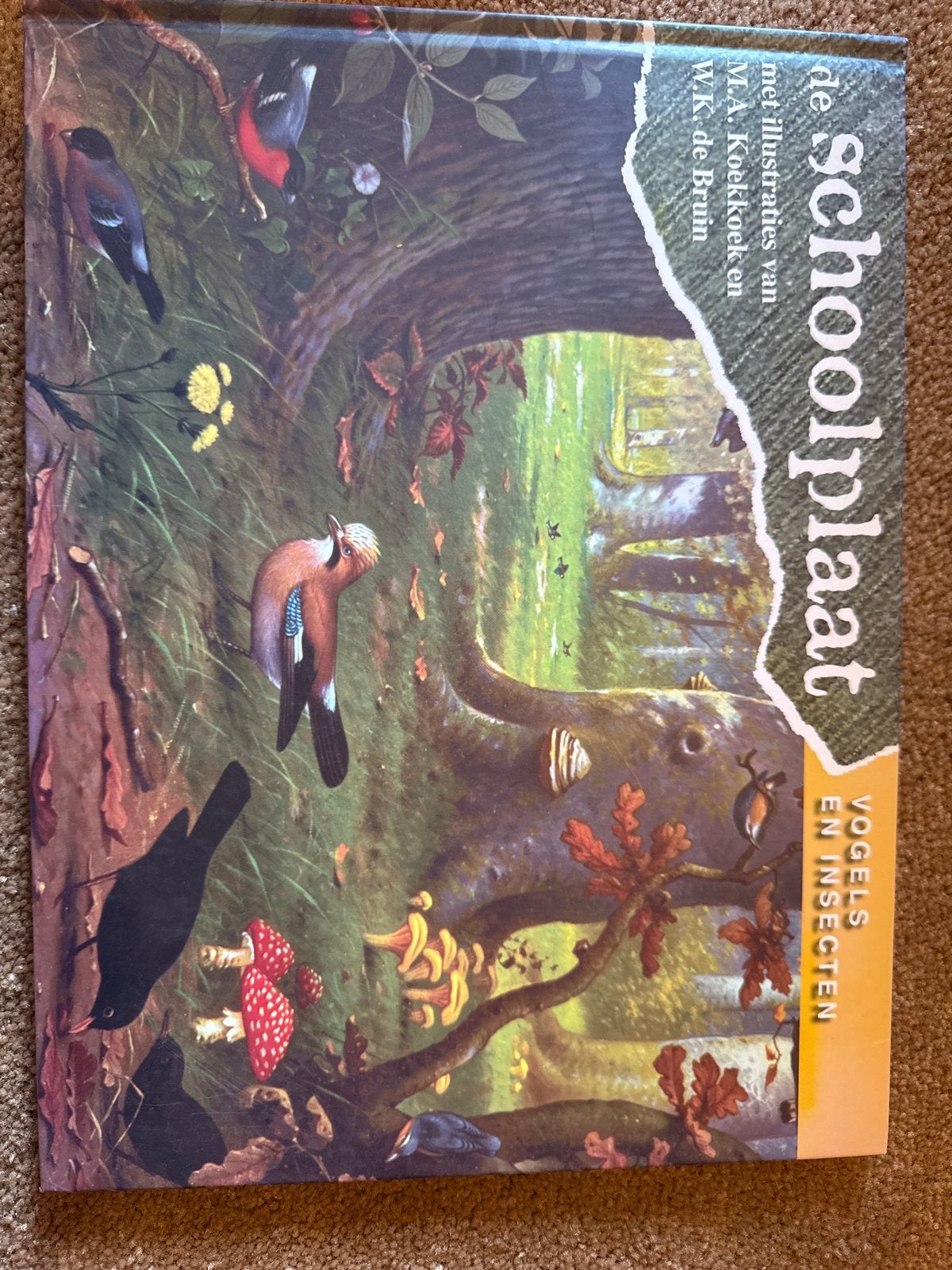 De Schoolplaat - Vogels en Insecten, Boeken, Natuur, Ophalen of Verzenden, Zo goed als nieuw, Vogels