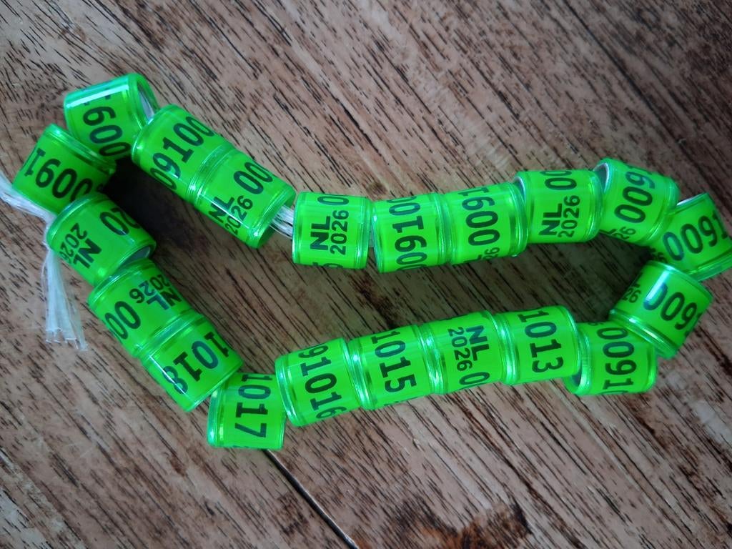 Duiven ringen 2026, Meerdere dieren, Postduif