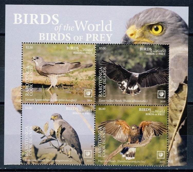 Rarotonga 100/03 Vogels 2019 postfris, Ophalen of Verzenden, Postfris, Dier of Natuur