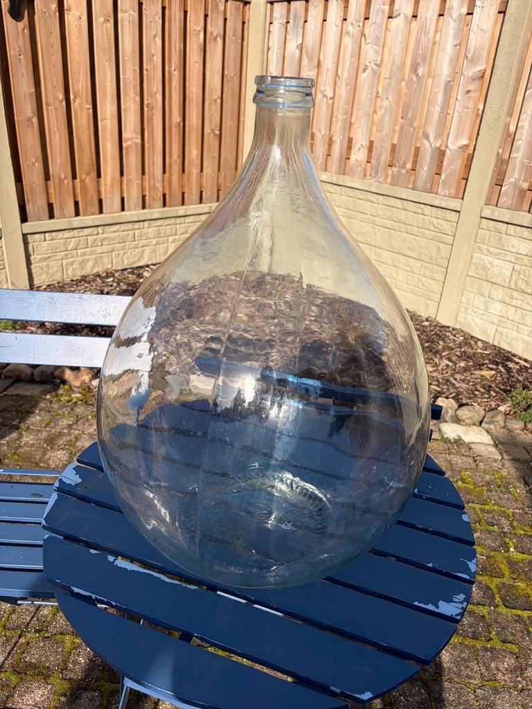 Dame Jeanne 34 liter - Decoratie of Plantenterrarium, Ophalen