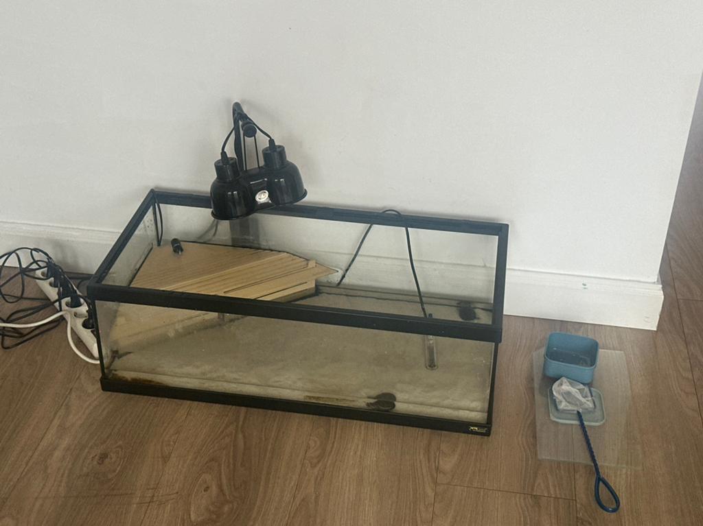 2x Muskusschilpad en aquarium/ toebehoren, Dieren en Toebehoren, Ophalen, Zo goed als nieuw