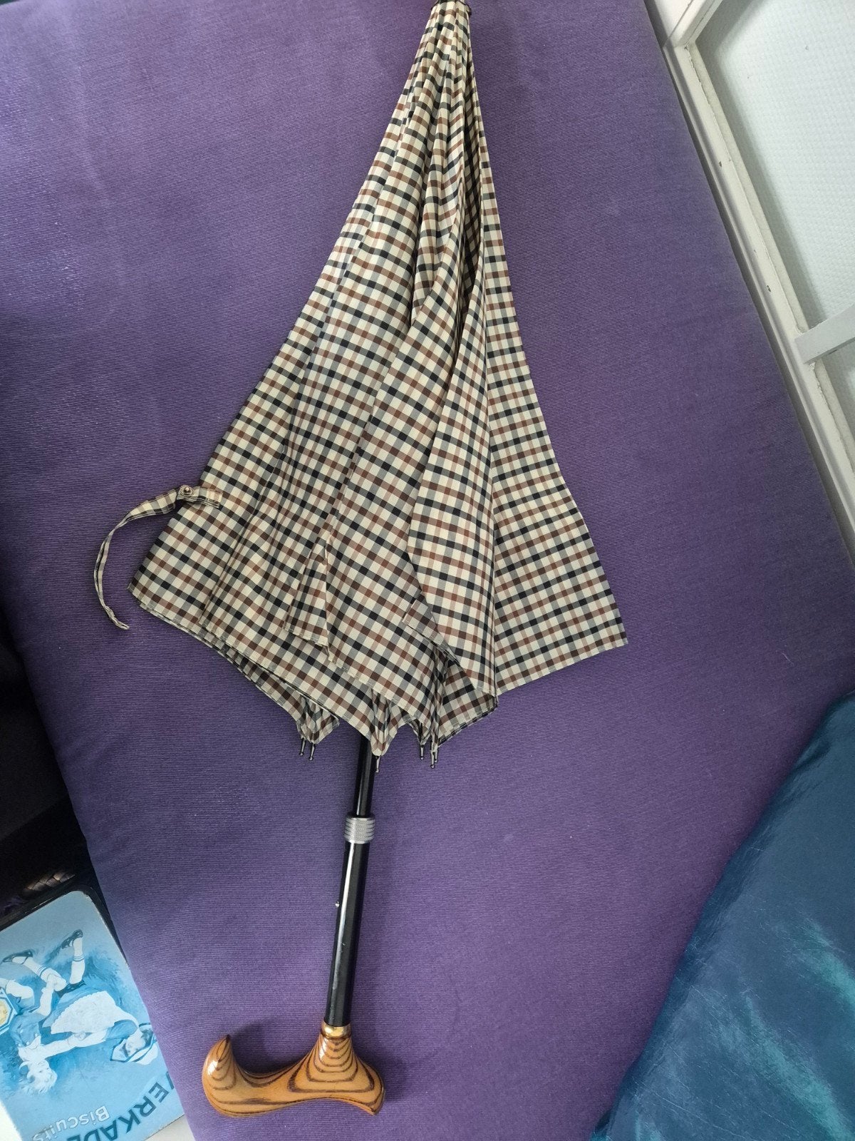 Wandelstok /paraplu, Ophalen of Verzenden, Verstelbaar, Nieuw