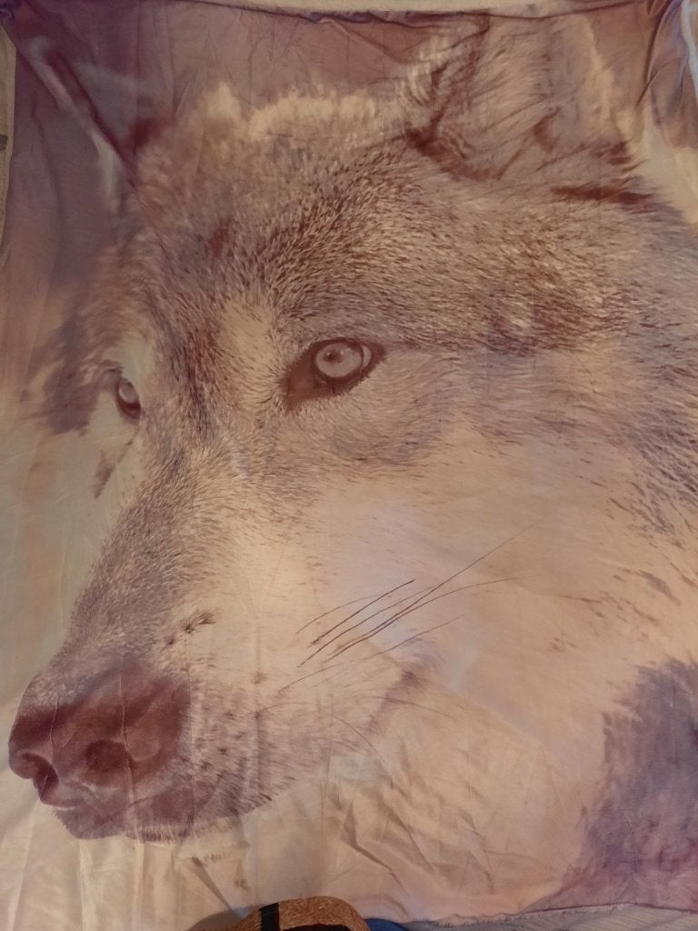 fleece deken wolf, Ophalen of Verzenden, Zo goed als nieuw