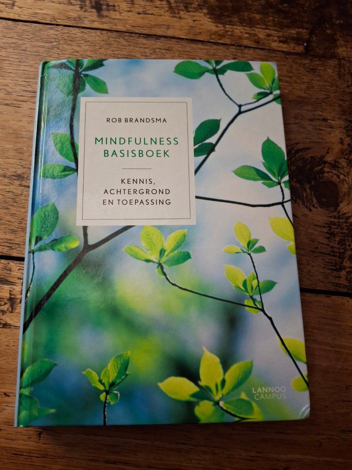 Rob Brandsma - Mindfulness basisboek, Boeken, Ophalen of Verzenden, Zo goed als nieuw, Rob Brandsma