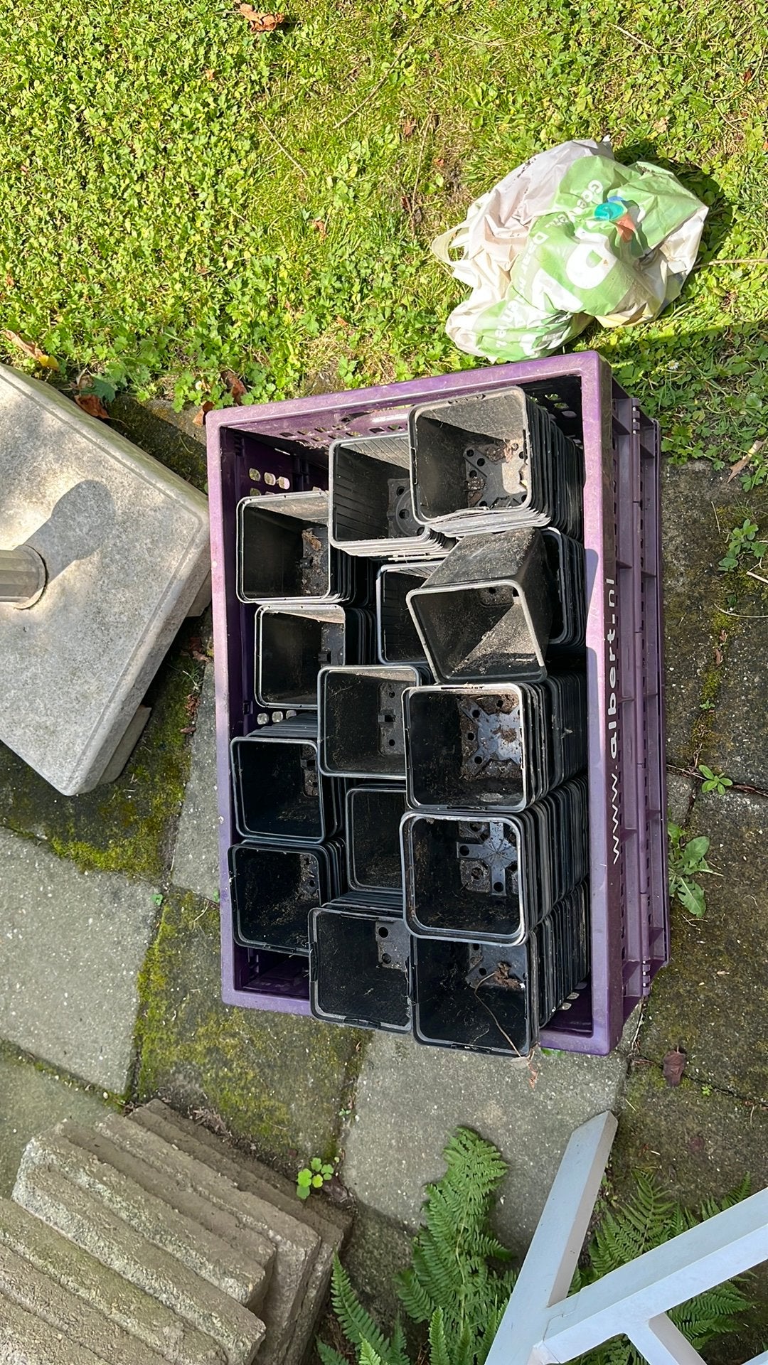 Plastic kweek/plantenpotjes, Ophalen, Gebruikt, Kweekbak