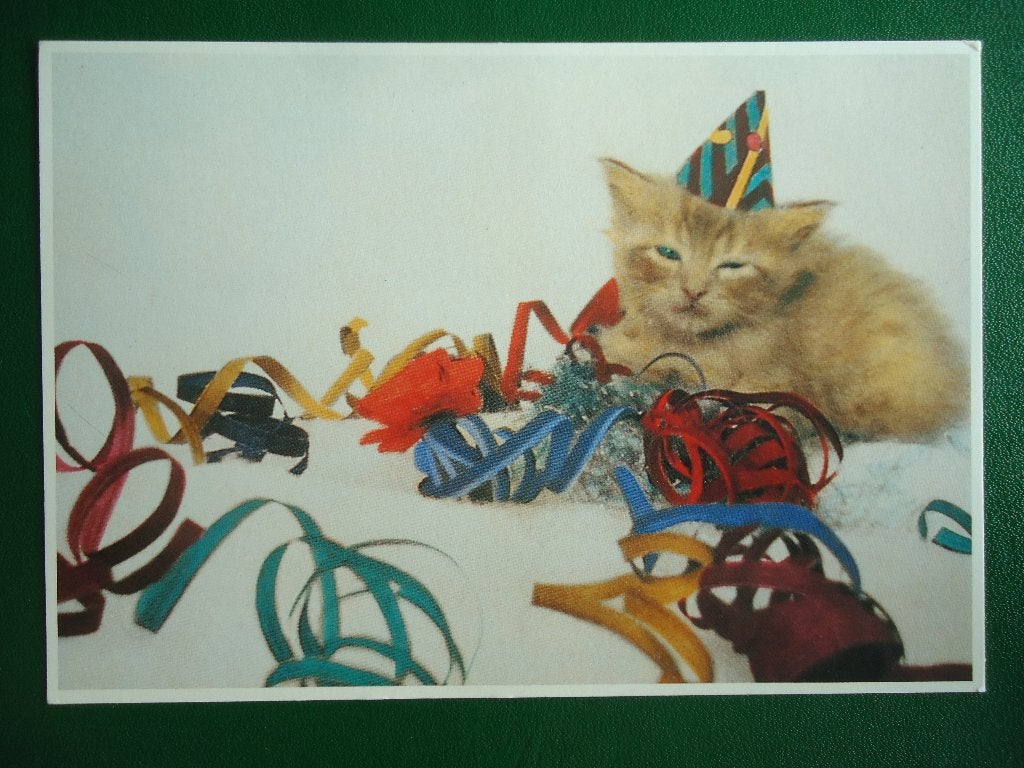 (1697) Dierenkaart: POES, Verzenden, 1980 tot heden, Gelopen, Hond of Kat