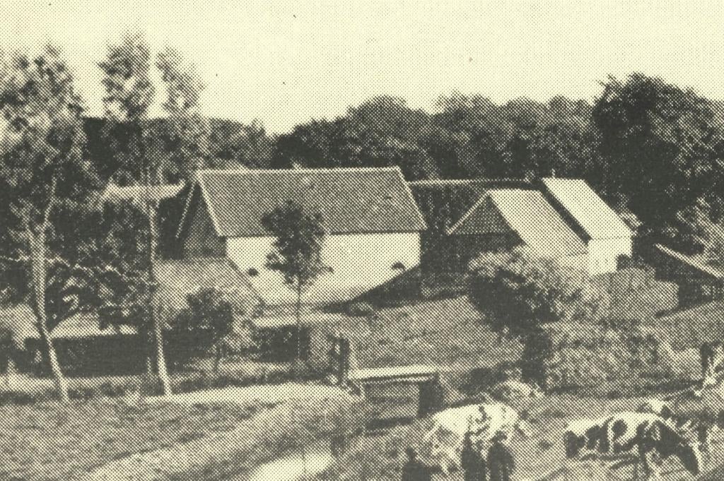 992248 Kampen Grafhorsterdijk _Nette kaart onbeschreven, Verzamelen, Ophalen of Verzenden, 1960 tot 1980, Ongelopen, Overijssel