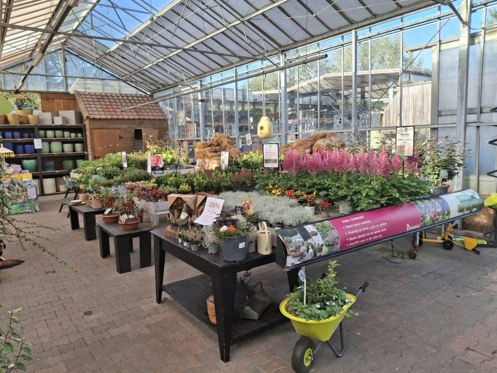 opheffingsuitverkoop tuincentrum van Gilst Rotterdam, Tuin en Terras, Ophalen, Overige soorten, Volle zon