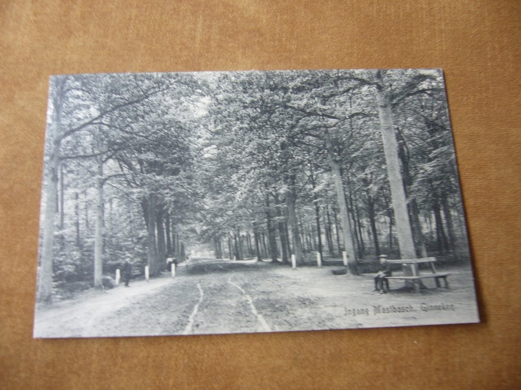 GINNEKEN  =  INGANG MASTBOSCH    BRIEFKAART, Ophalen of Verzenden, Voor 1920, Gelopen, Noord-Brabant