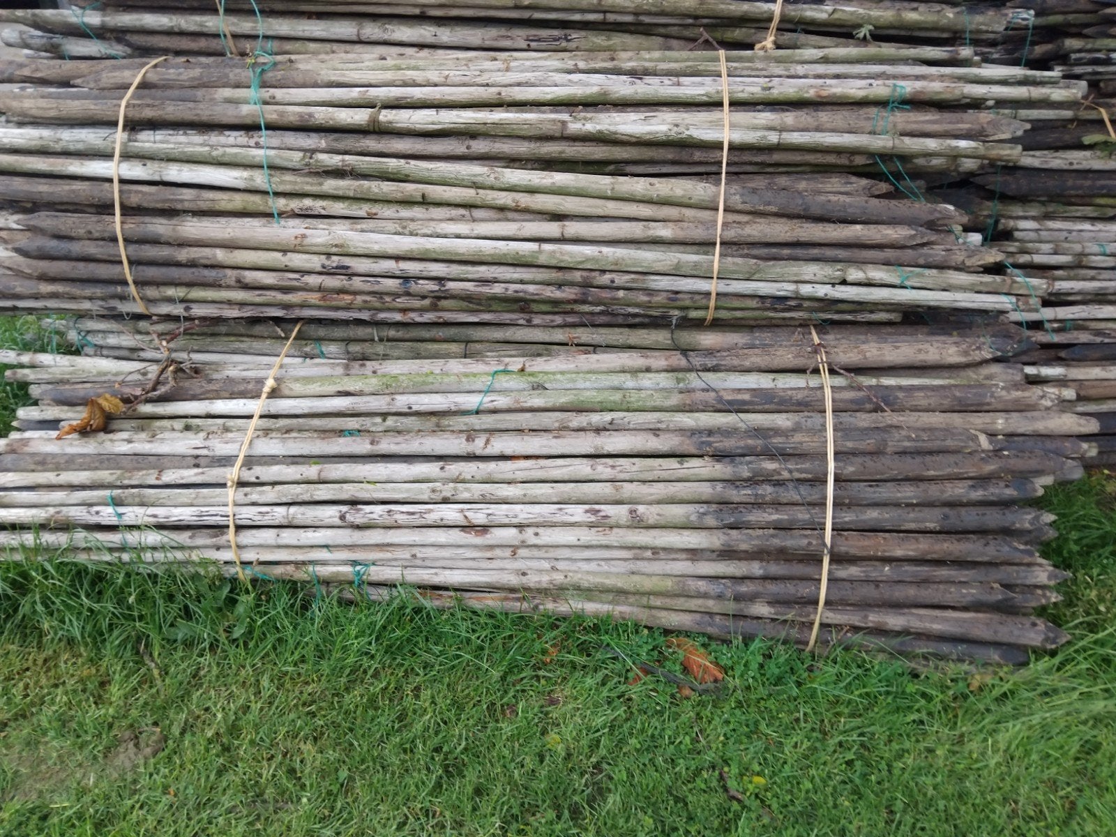 Palen, afrastering, omheining,, Tuin en Terras, Palen, Balken en Planken, Ophalen of Verzenden, 250 cm of meer, Palen