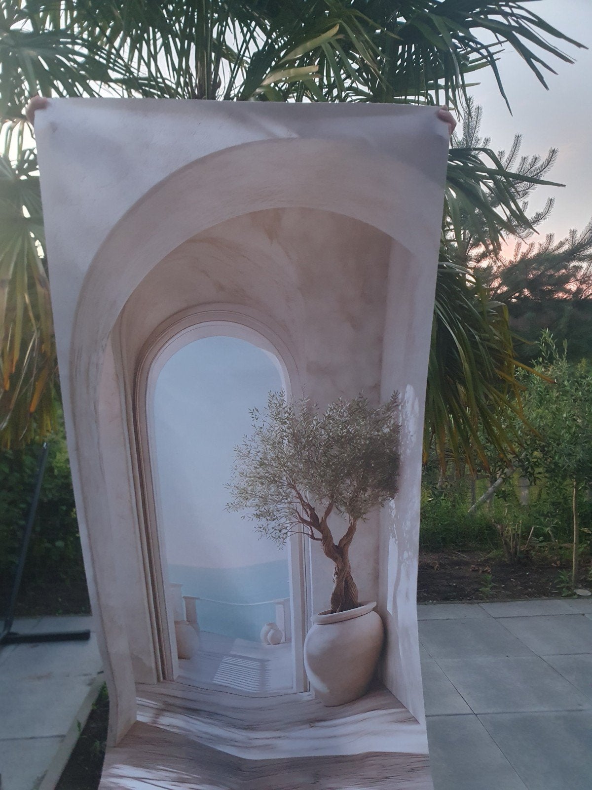 Muurdecoratie canvan Olijfboom, Kust Mediterraan €25, Ophalen of Verzenden
