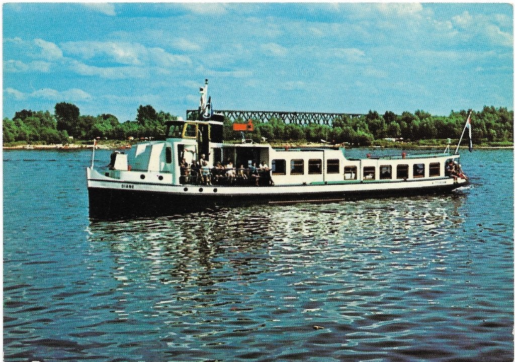 Ansichtkaart  	Rotterdam	MS Diane, Verzenden, 1980 tot heden, Ongelopen, Zuid-Holland
