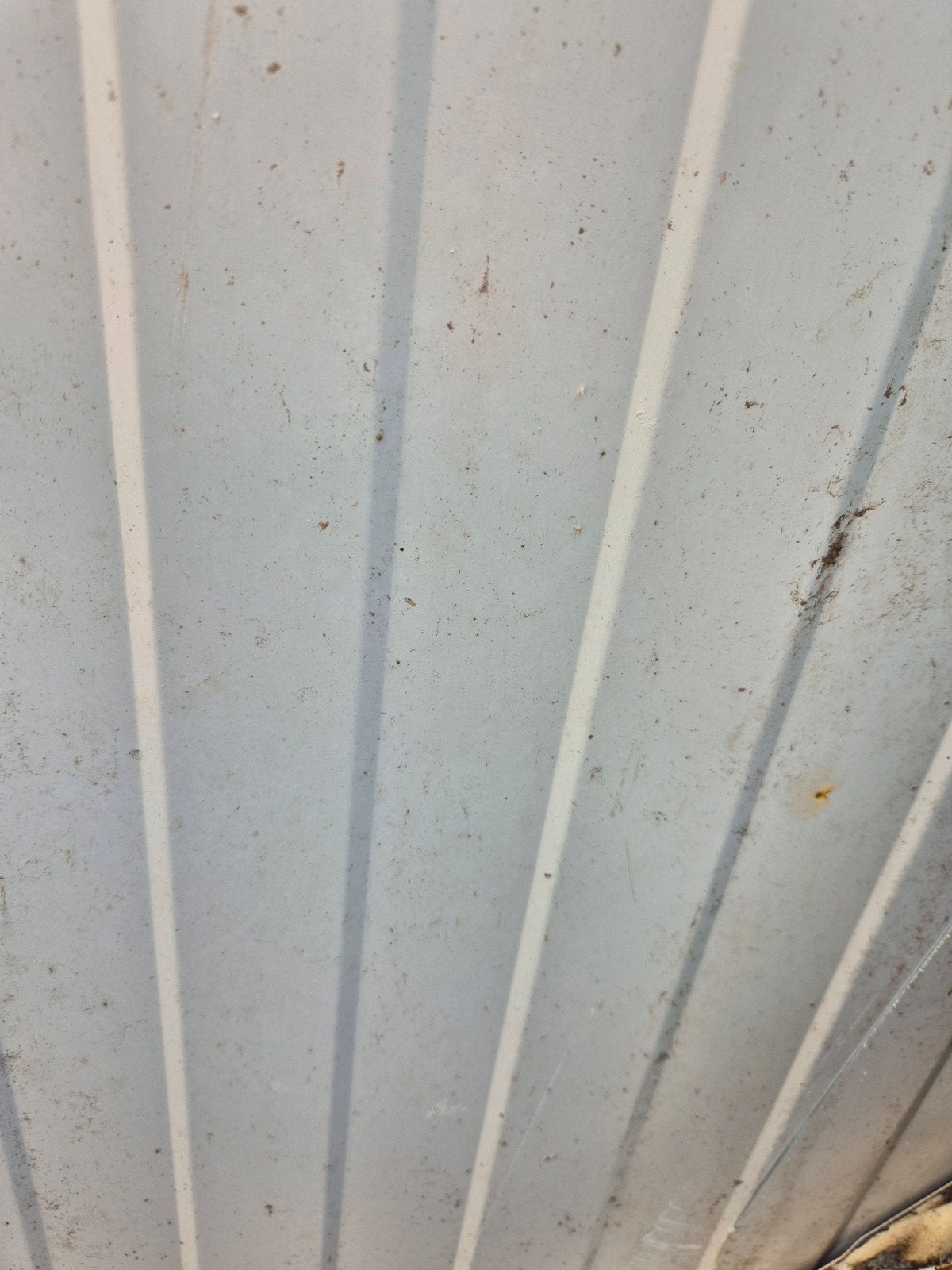 Gratis sandwichpanelen: groen/wit, diverse maten, Doe-het-zelf en Verbouw, Platen en Panelen, Ophalen of Verzenden, Gebruikt, Overige materialen