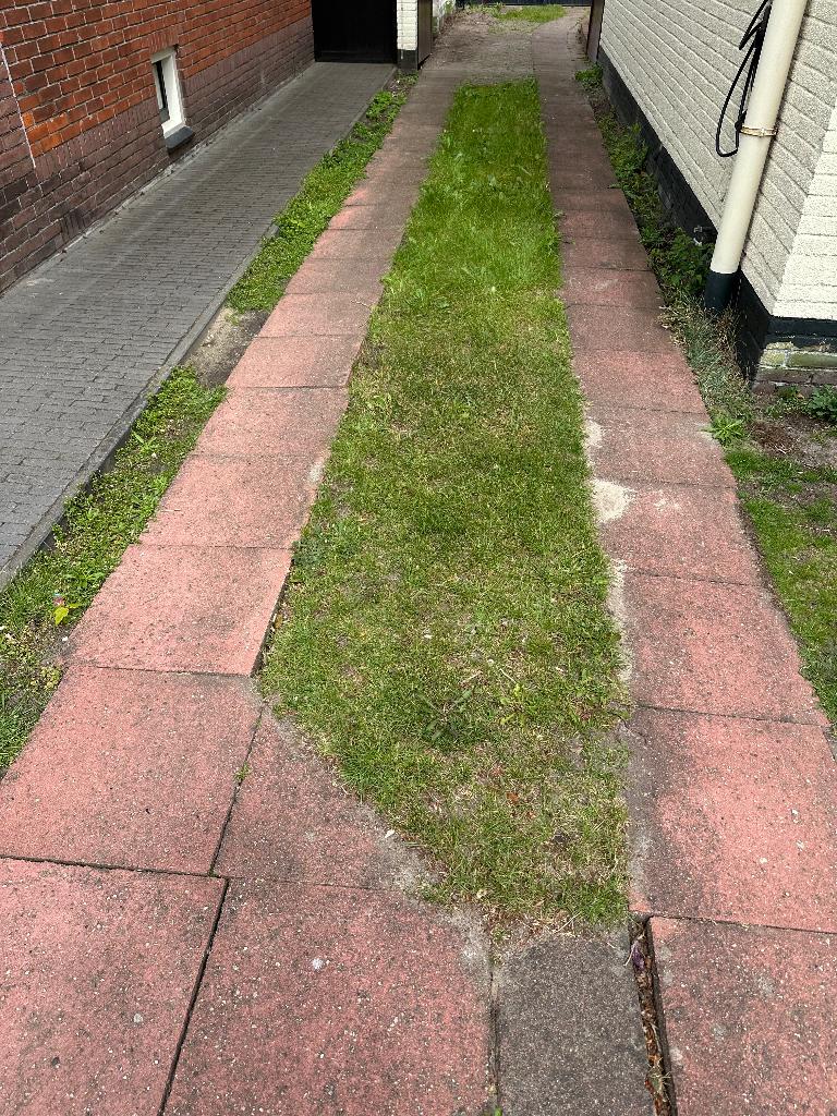 Straat tegels, Ophalen, Gebruikt, Beton, Terrastegels