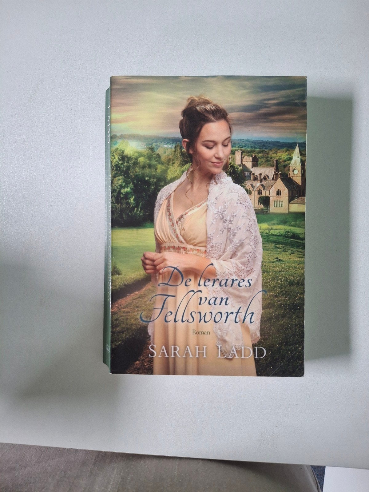 Christelijke roman 'De lerares van Fellsworth', Boeken, Ophalen of Verzenden, Zo goed als nieuw, Sarah Ladd