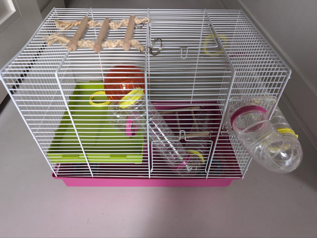 Knaagdieren kooi, Ophalen, Minder dan 75 cm, Kooi, Minder dan 60 cm