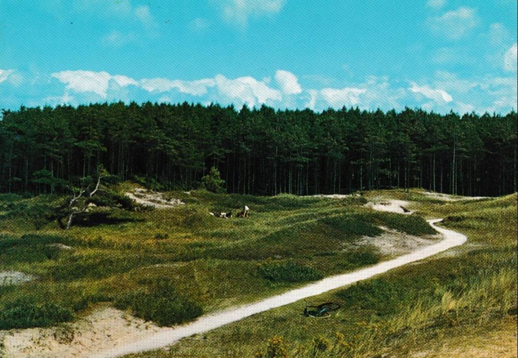 Ameland        8a, Ophalen of Verzenden, Voor 1920, Waddeneilanden