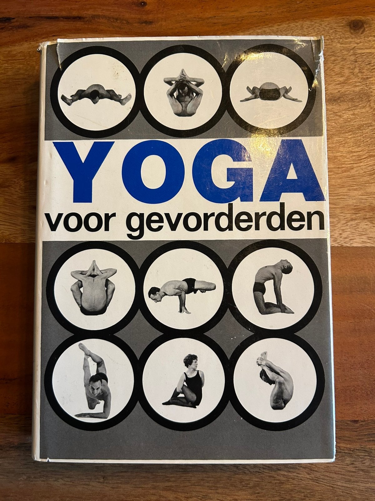 André van Lysebeth - Yoga voor gevorderden - Ankh Hermes, Boeken, Ophalen of Verzenden, Zo goed als nieuw, Instructieboek, André van Lysebeth