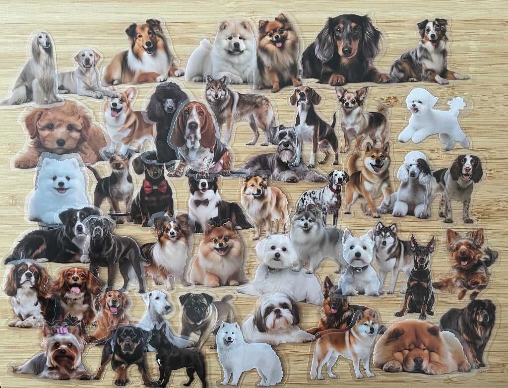Honden stickers transparante achterkant, Verzenden, Nieuw, Meerdere stickers