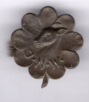 Jongeren natuurwacht ( JNW) koper broche ( U_170), Verzenden, Zo goed als nieuw, Stad of Land, Speldje of Pin