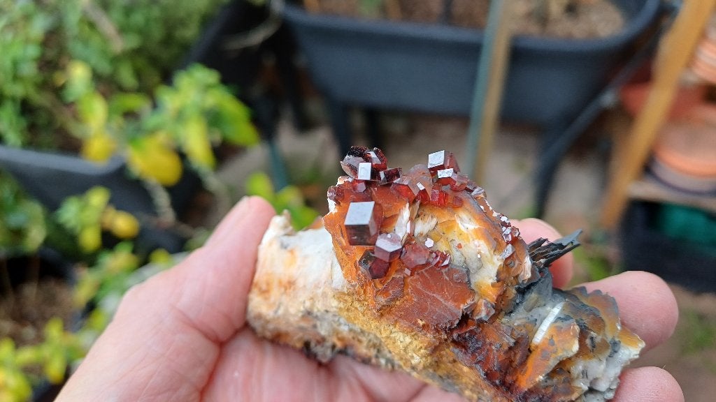 202619 Bariet Vanadeniet Mibladen Marokko TOP, Ophalen of Verzenden, Mineraal