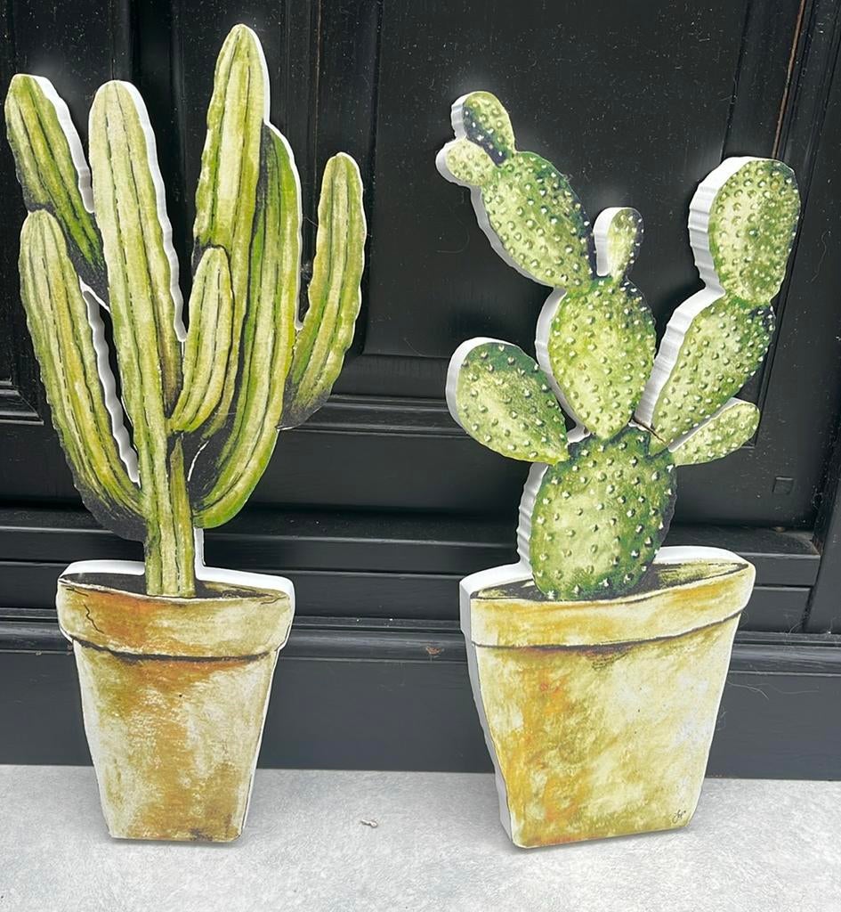 2 decoratieve 3D cactussen, Ophalen, Zo goed als nieuw