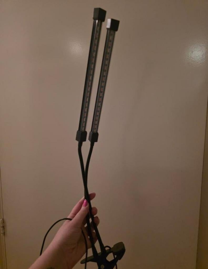 Groeilamp/kweeklamp, Ophalen of Verzenden, Halfschaduw, Minder dan 100 cm