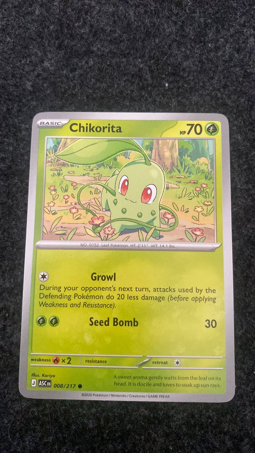 Ascended heroes Chikorita common - 008/217, Ophalen of Verzenden, Zo goed als nieuw