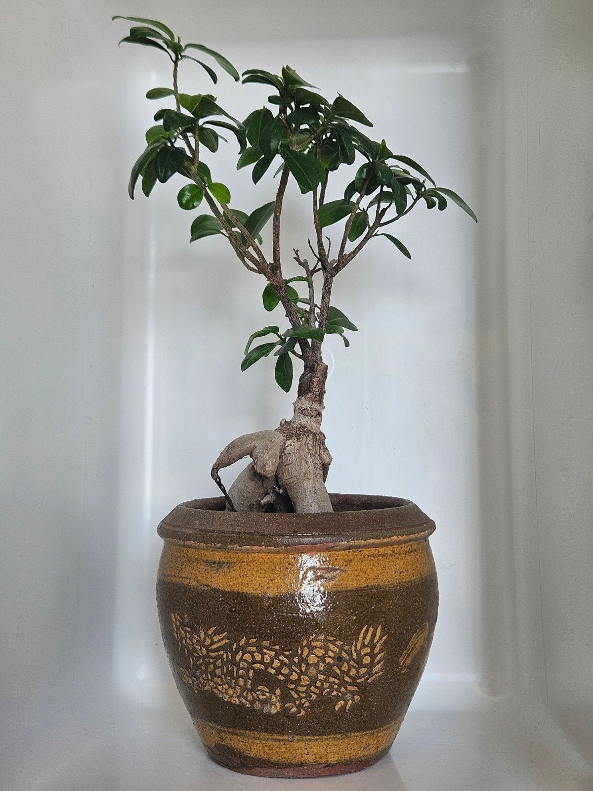 Vintage kleine Chinese drakenpot Thaise pot draak 14 x 17 cm, Ophalen of Verzenden