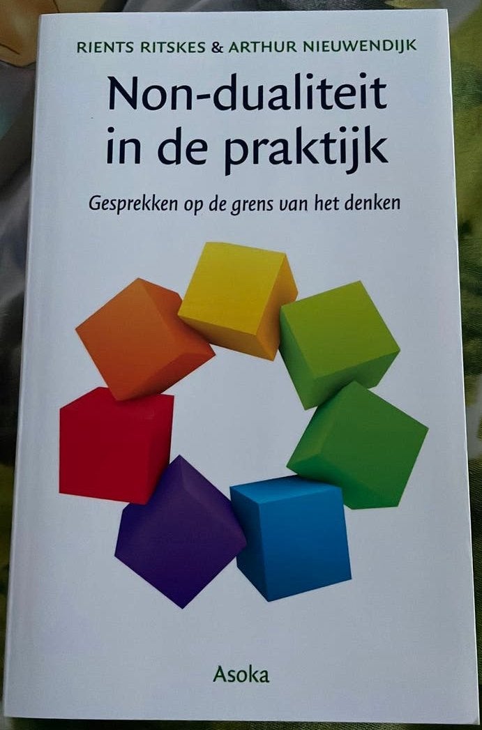 Arthur Nieuwendijk - Non-dualiteit in de praktijk, Ophalen, Zo goed als nieuw, Arthur Nieuwendijk; Rients Ritskes