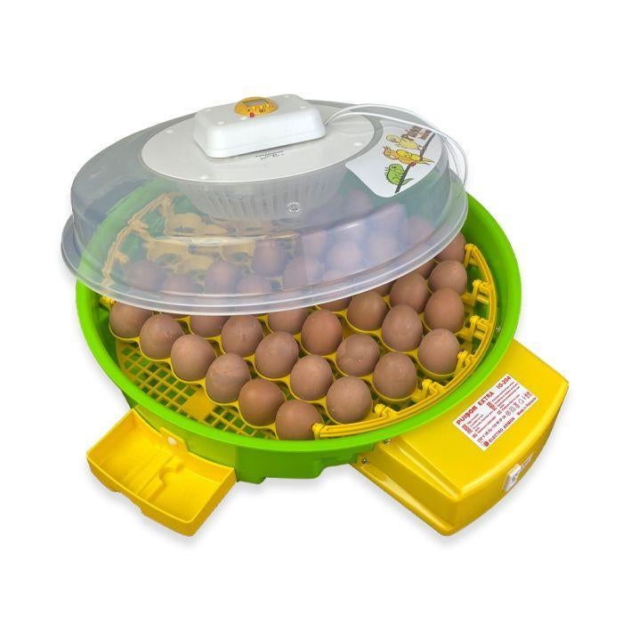 Broedmachine Puisor Exotic X2A te huur of te koop, Ophalen of Verzenden, Zo goed als nieuw, Broedmachine