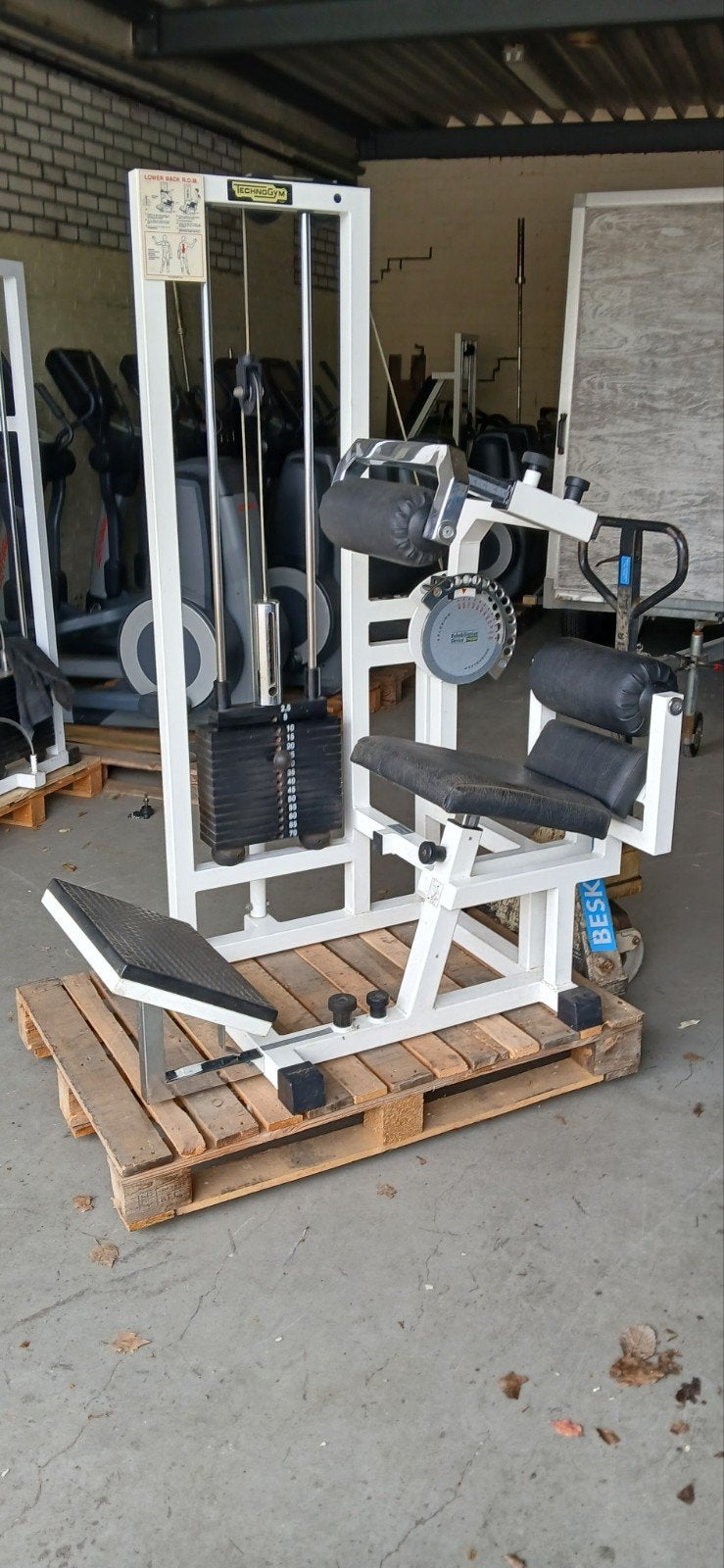 Technogym back extension, Ophalen, Gebruikt, Rug, Overige typen